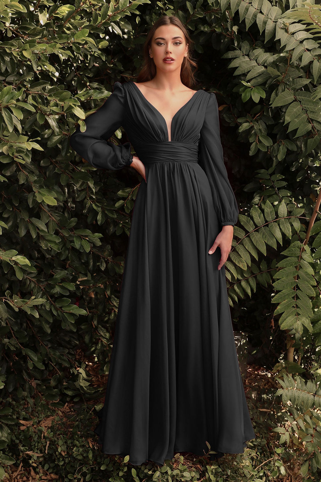 Chiffon Long Sleeve Dress CDCD0192