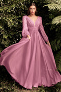 Chiffon Long Sleeve Dress CDCD0192