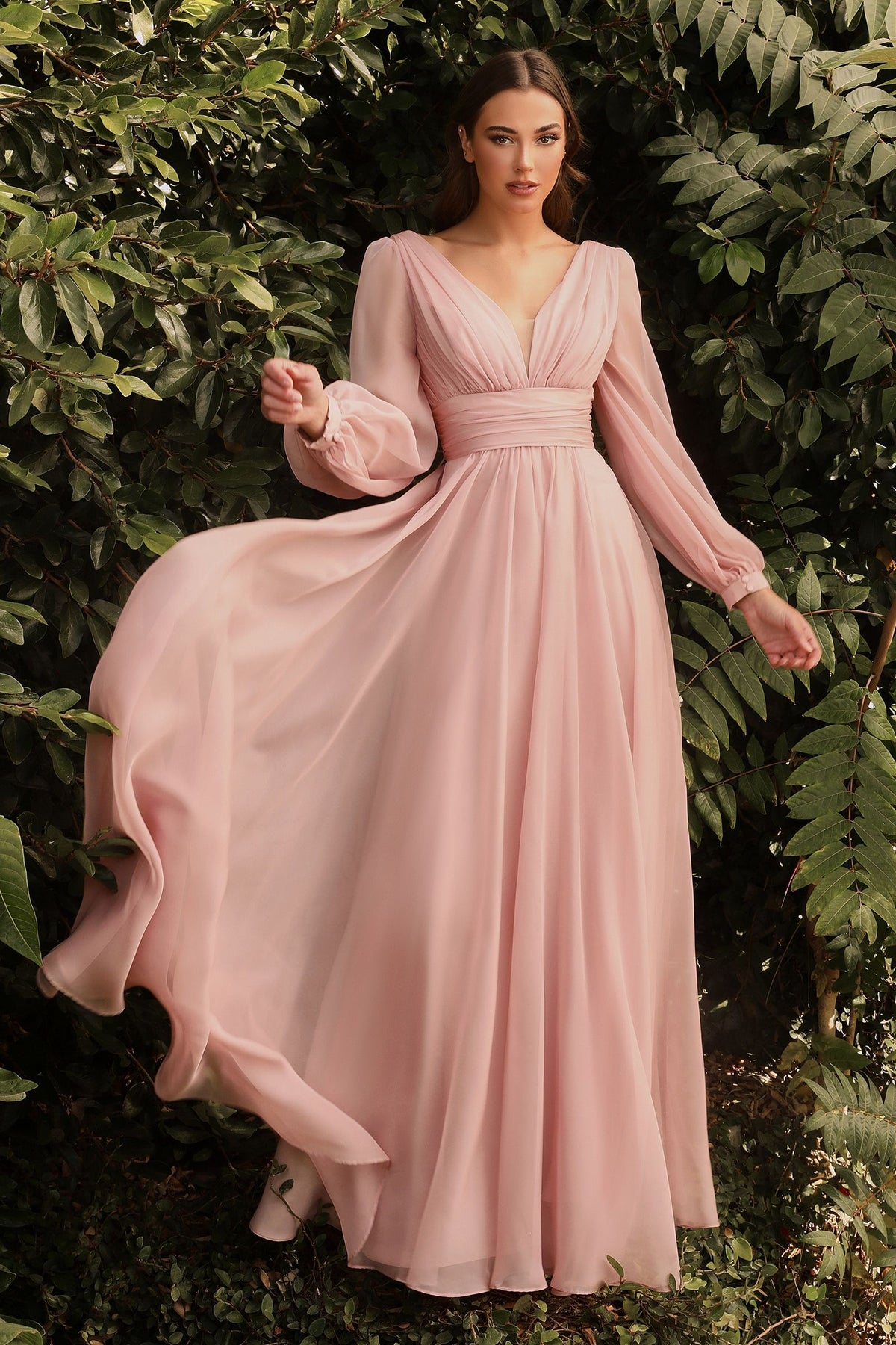 Chiffon Long Sleeve Dress CDCD0192