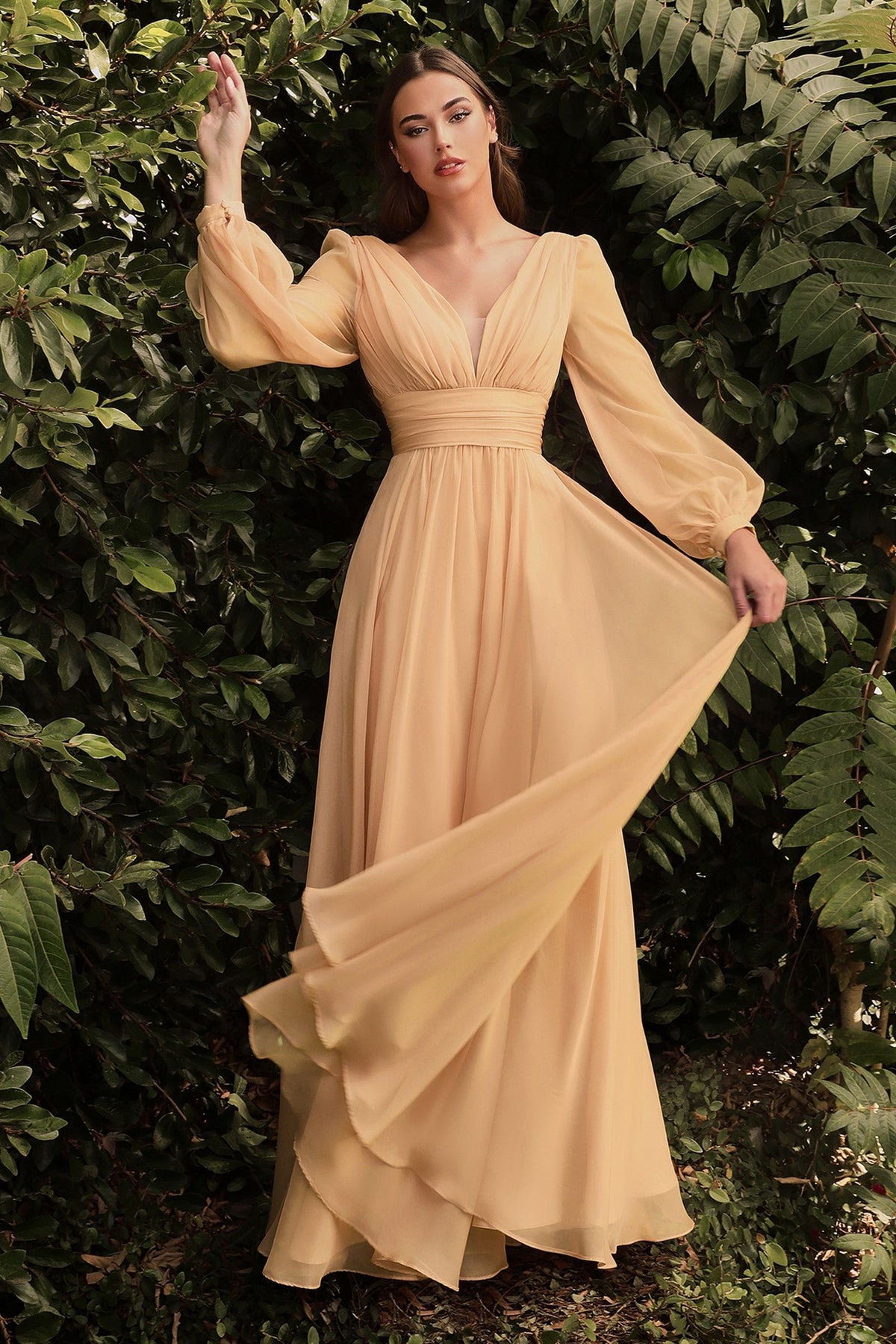 Chiffon Long Sleeve Dress CDCD0192